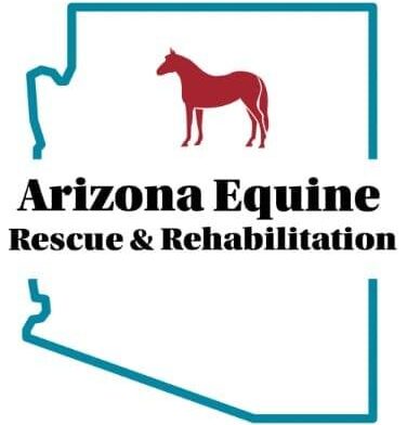 Enriching the lives and futures of Arizona's underprivileged horses.